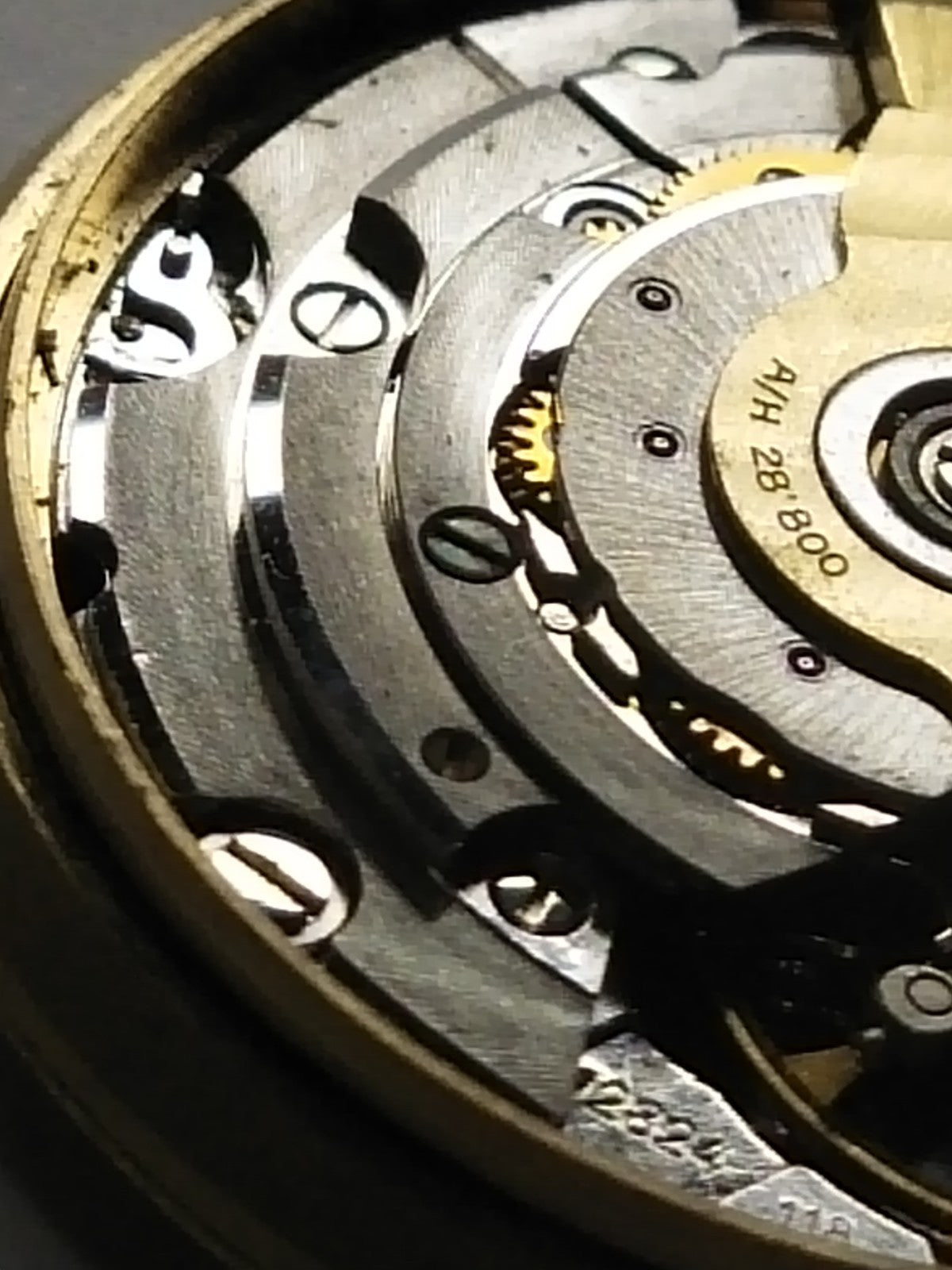 45866987