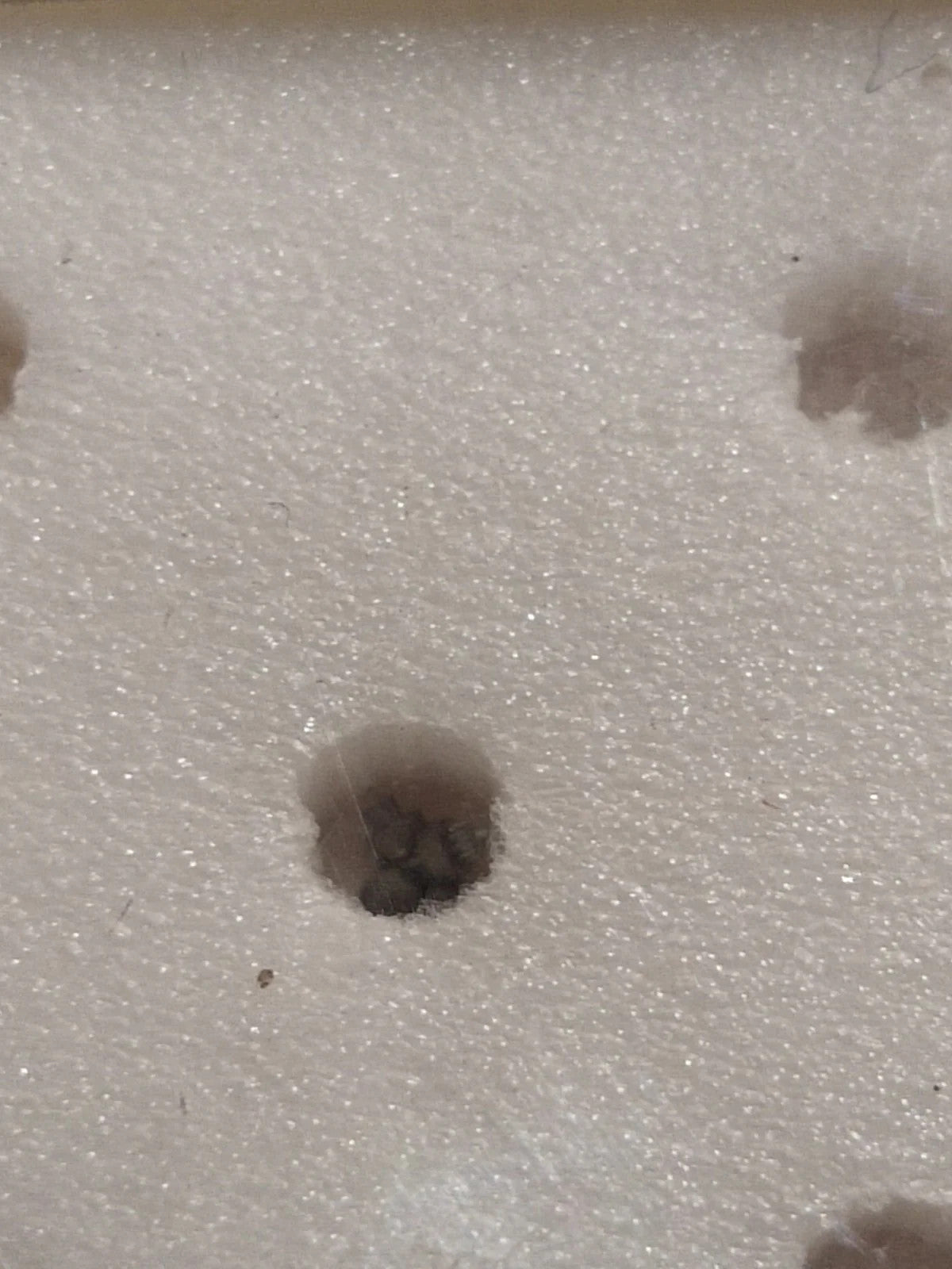 NOS Seiko Step Rotor Parts 4146 092/(1pc