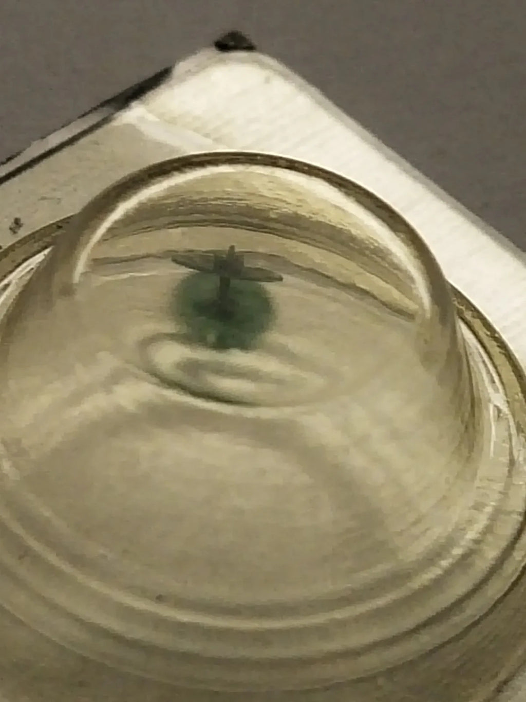 NOS Seiko part 885 581