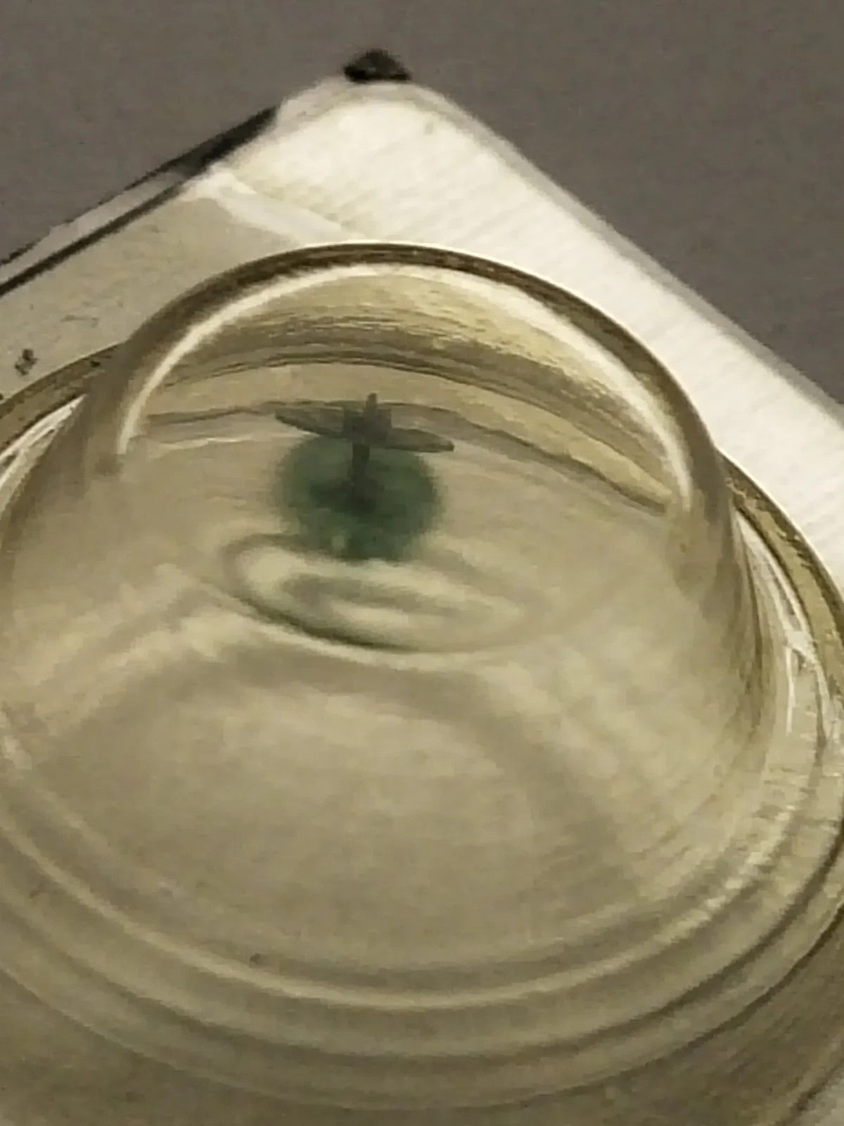 NOS Seiko part 885 581