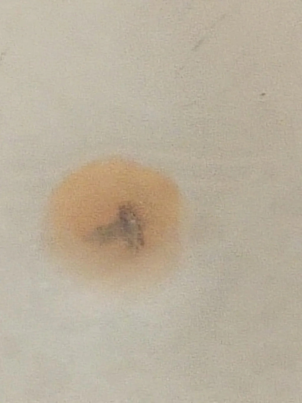 NOS Seiko Step Rotor Parts 4146 755/(1pc