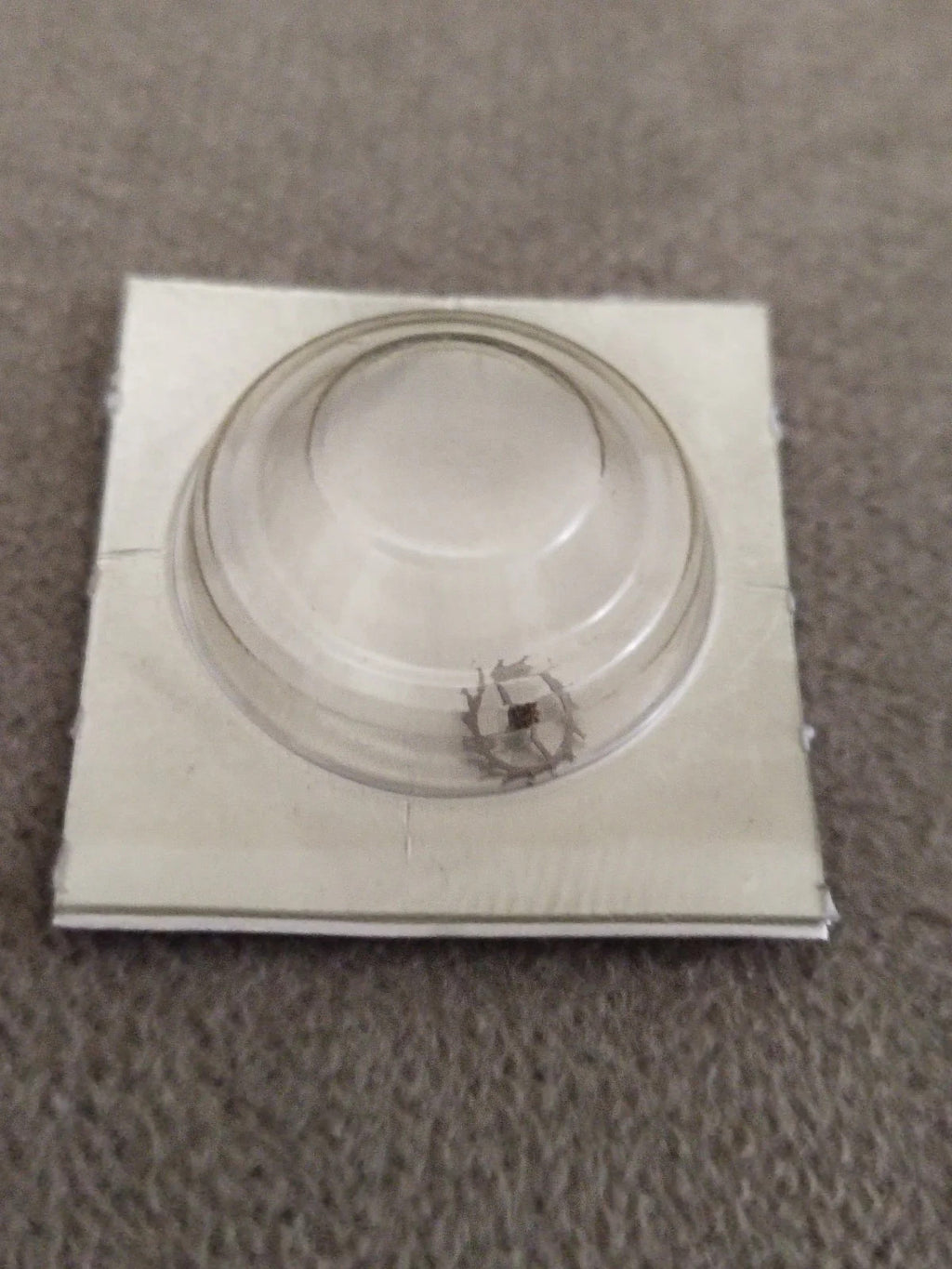 SEIKO 7005 A/B .....ESCAPE WHEEL 251 012 NOS WATCH PARTS FOR REPAIR