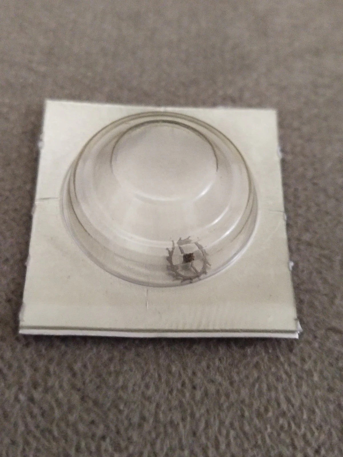 SEIKO 7005 A/B .....ESCAPE WHEEL 251 012 NOS WATCH PARTS FOR REPAIR