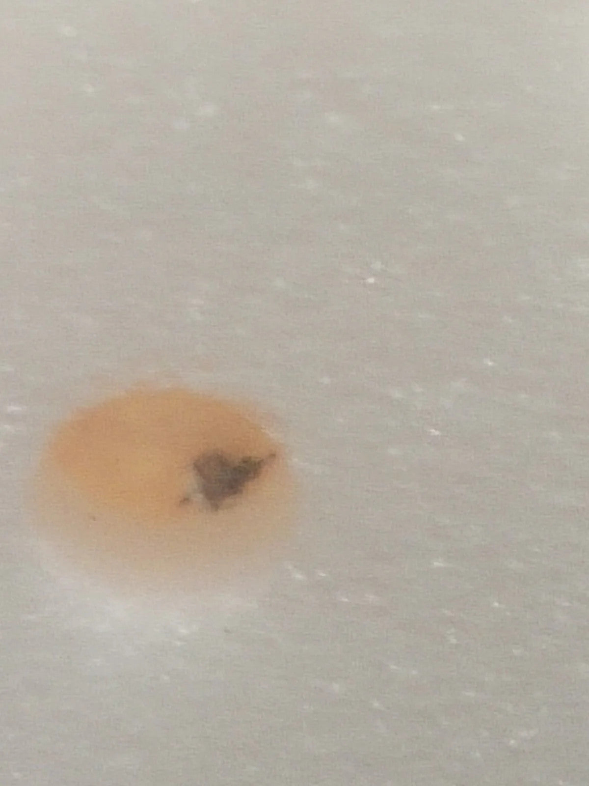 NOS Seiko Step Rotor Parts 4146 036/(1pc