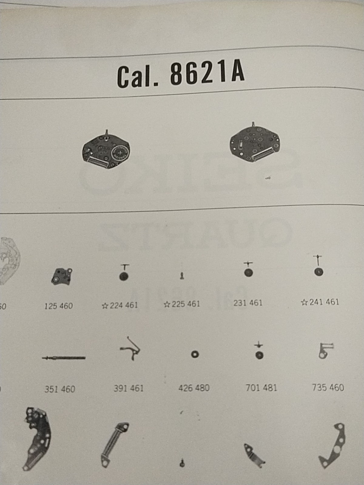 45866550