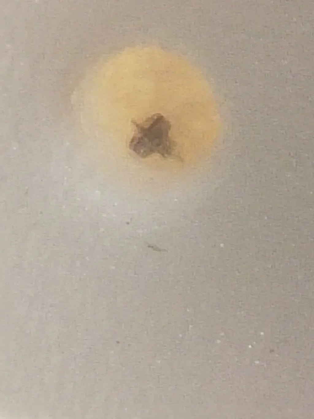 NOS Seiko Step Rotor Parts 4146 531/(1pc