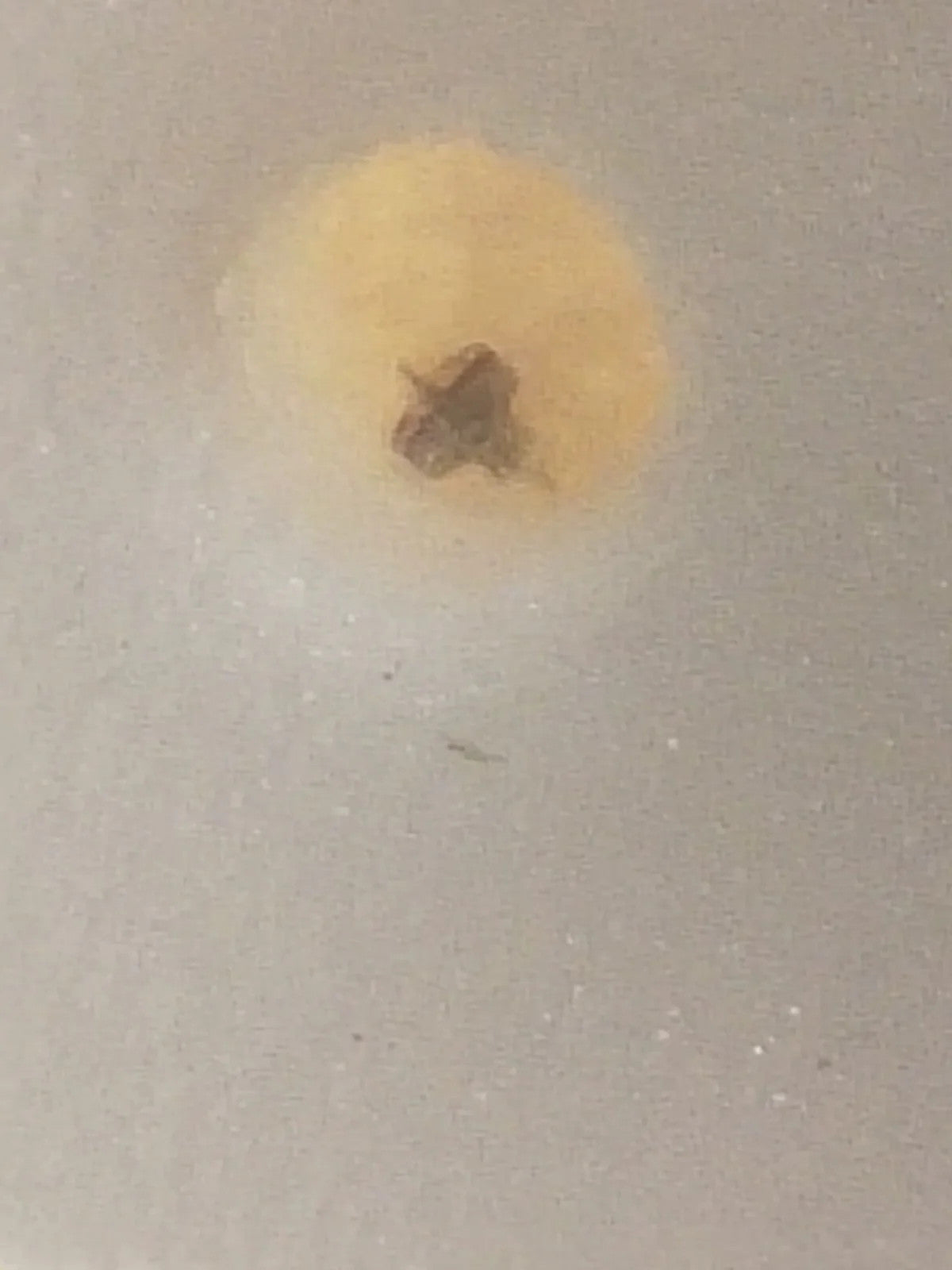 NOS Seiko Step Rotor Parts 4146 531/(1pc