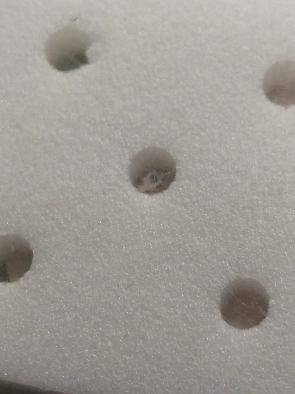 NOS Seiko Step Rotor Parts 4146 786/(1pc