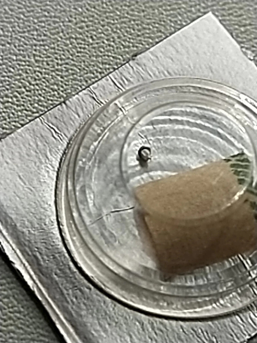 NOS Seiko Step Rotor Parts 4146 683/(1pc