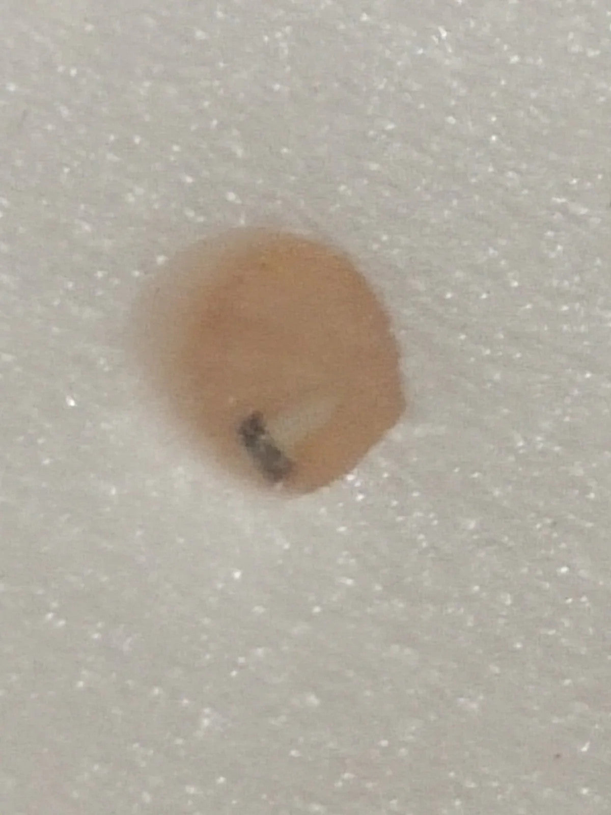 NOS Seiko Step Rotor Parts 4146 710/(1pc