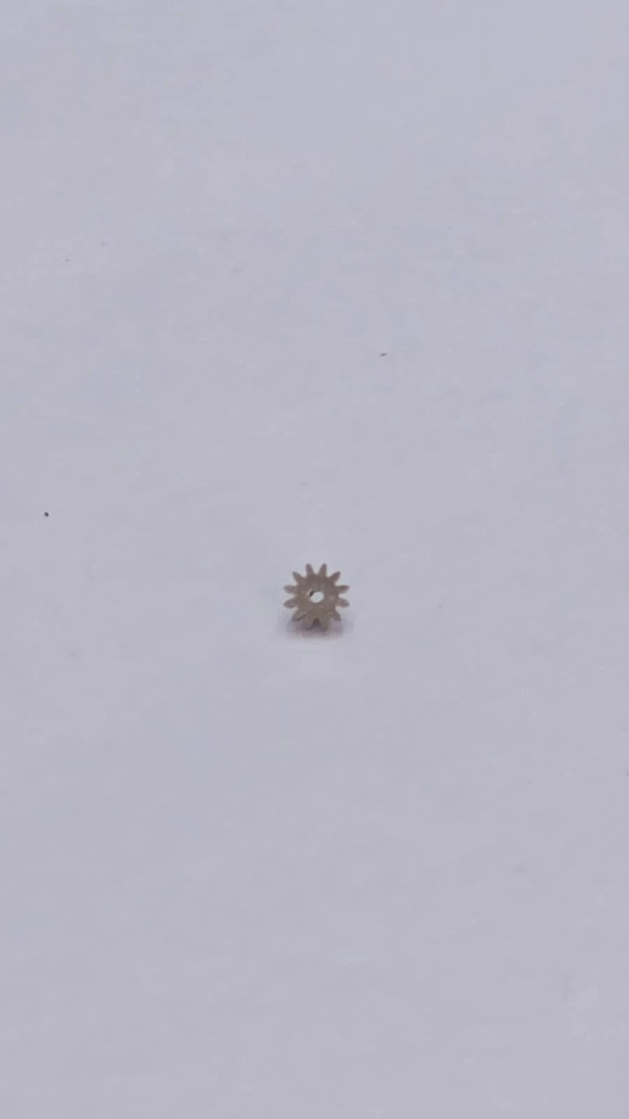 Cannon Pinion Cal 1712/13 Part 240