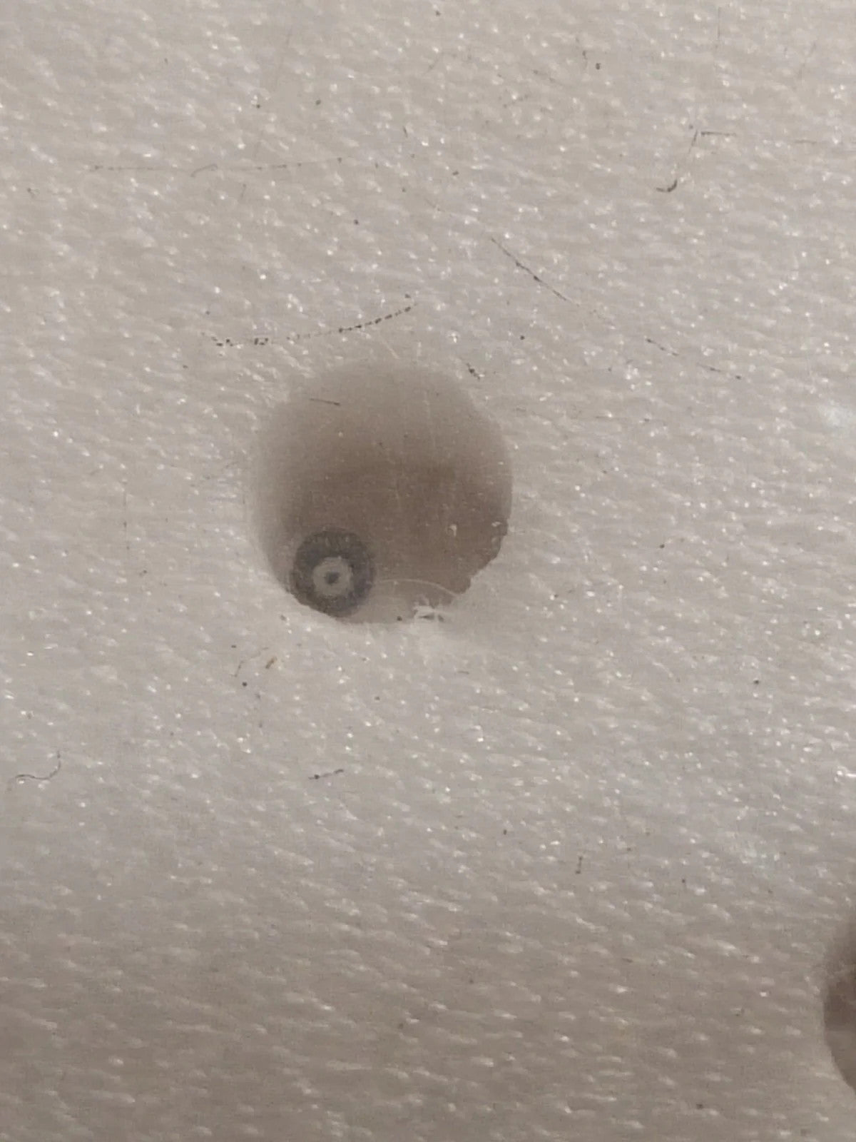 NOS Seiko Step Rotor Parts 4146 272/(1pc