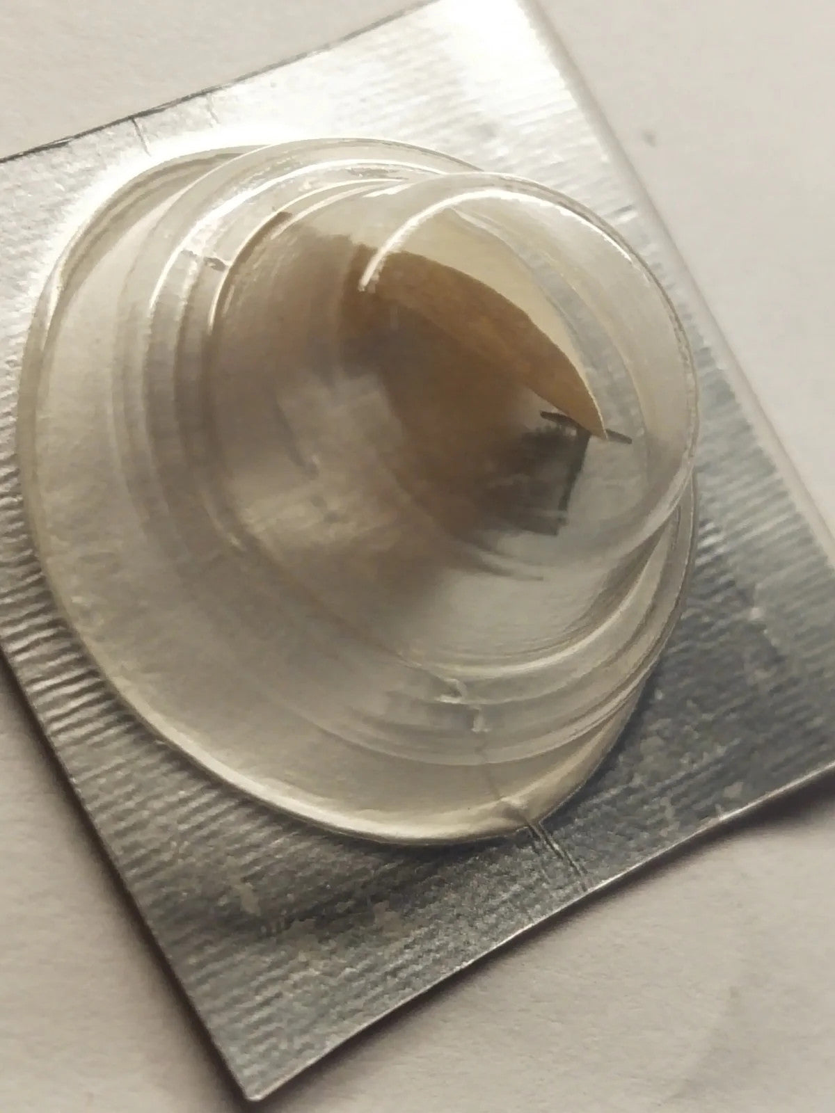 NOS Seiko Parts 888 731