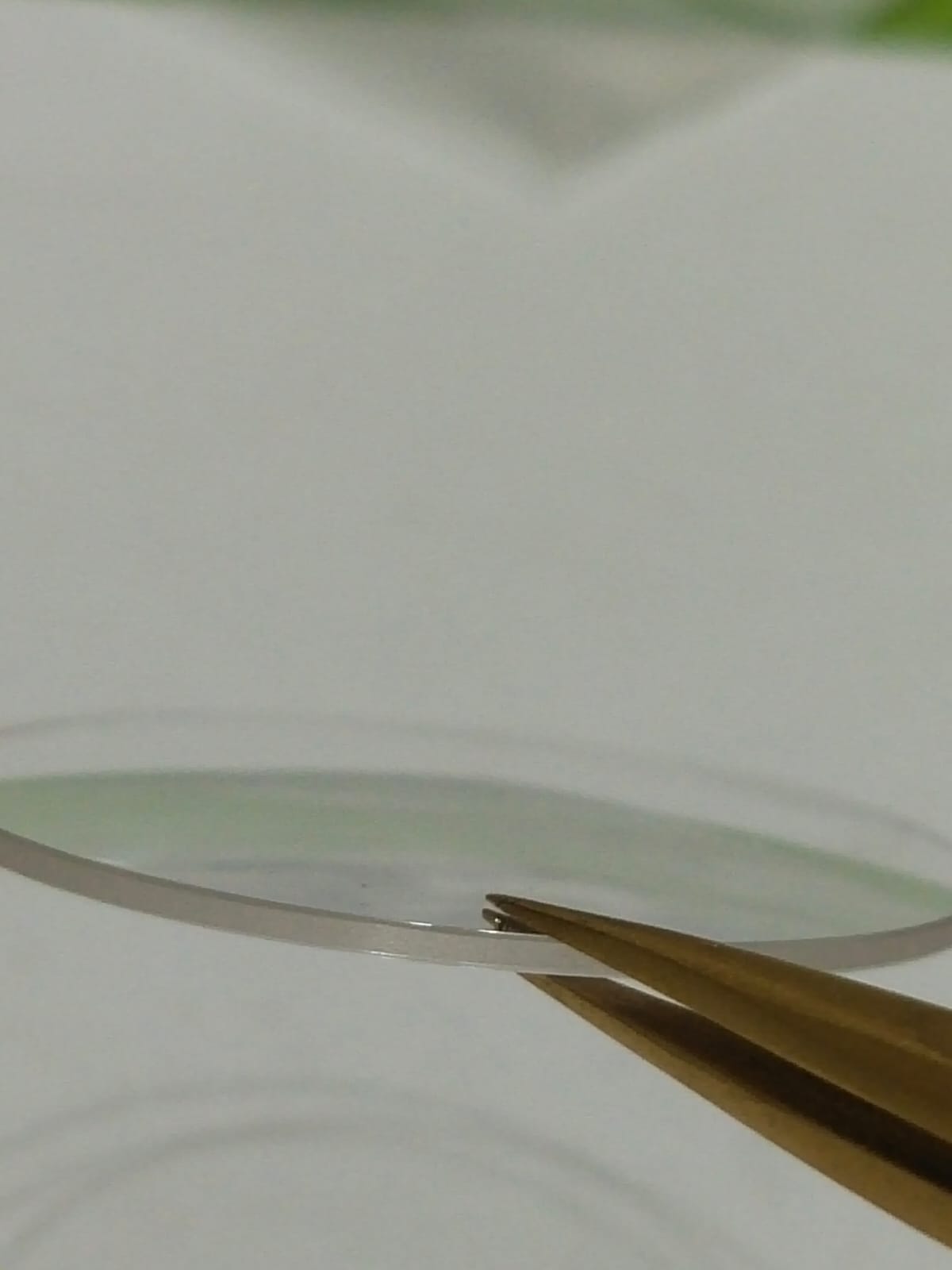 Gucci Original Watch Glass Crystal Part No. 110.93