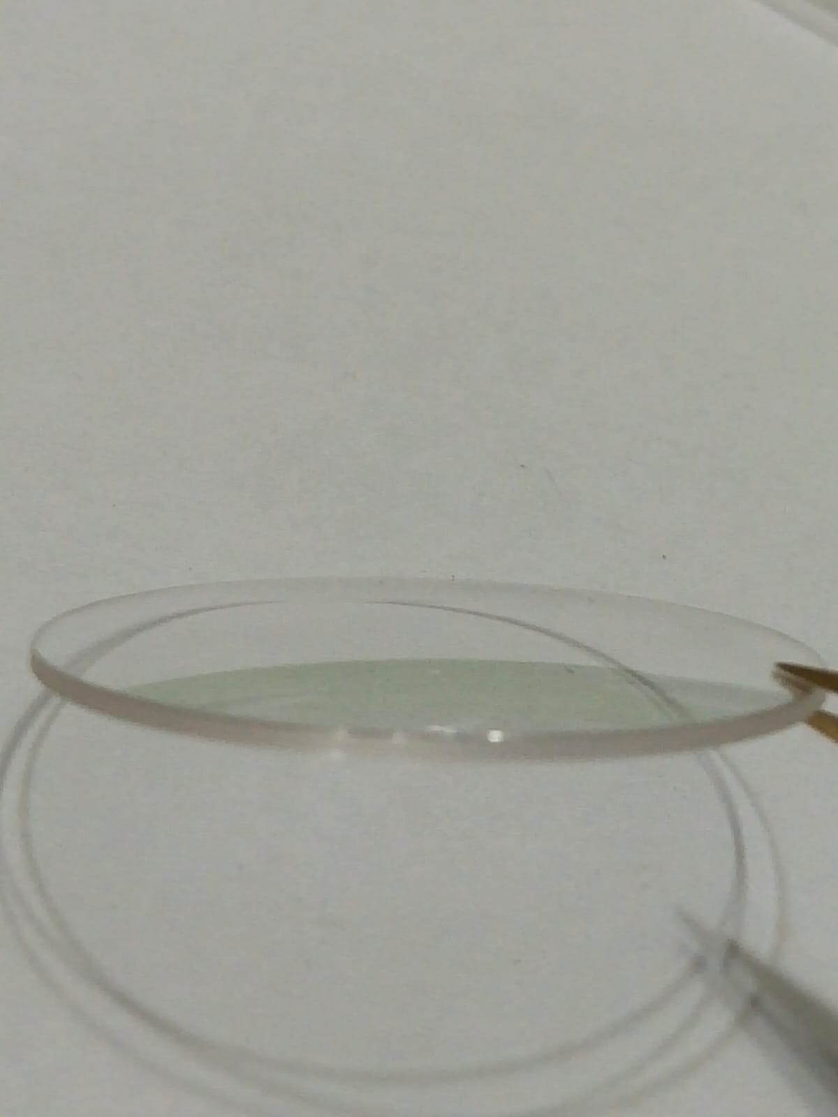 Gucci Original Watch Glass Crystal Part No. 110.93