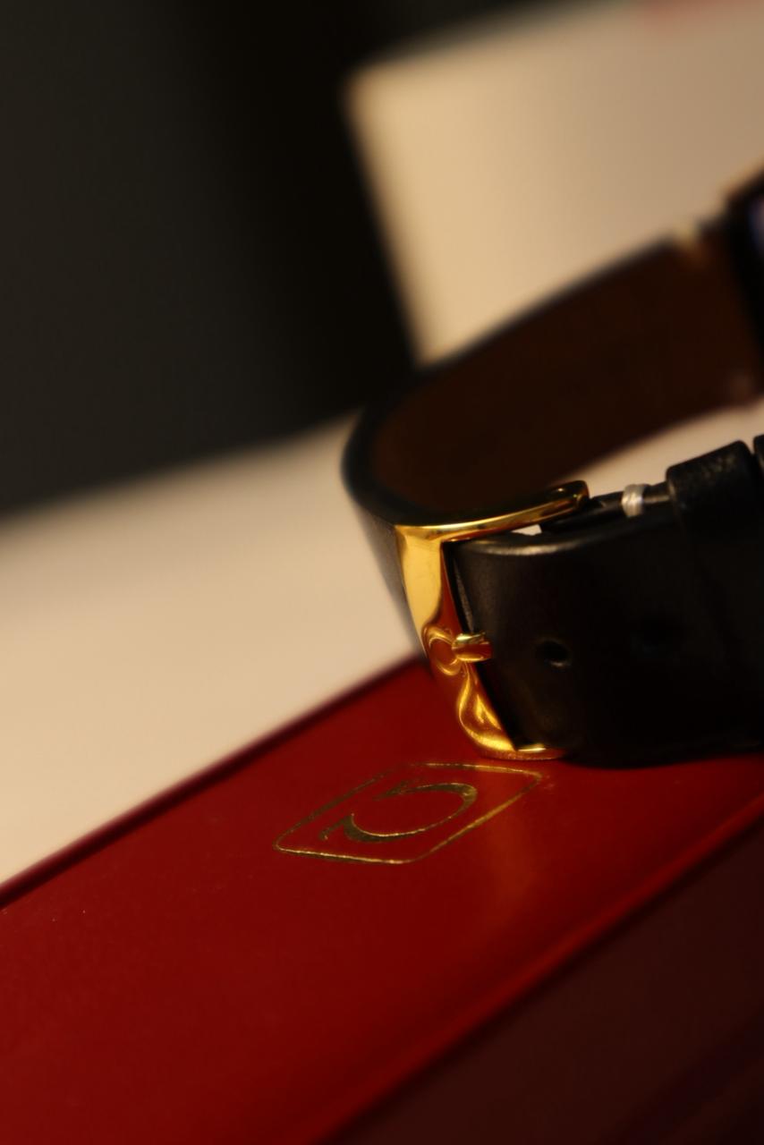 Vintage OMEGA Genève Ω from 1969