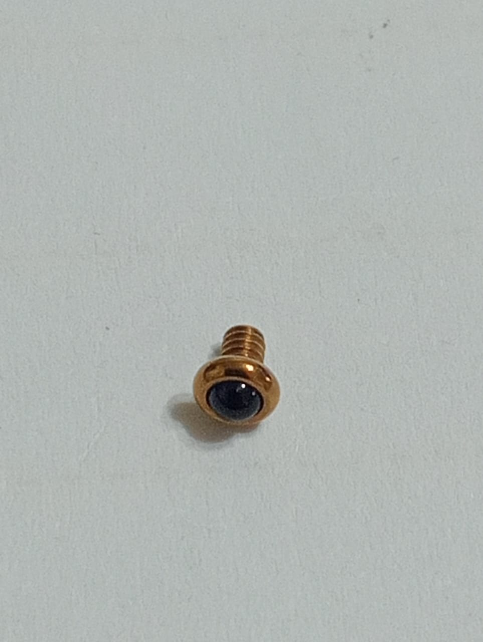 GUCCI SCREW 200.6500.3.2/CABOCHON DE BOITE 6500P BLEU/PRICE FOR ONE SCREW