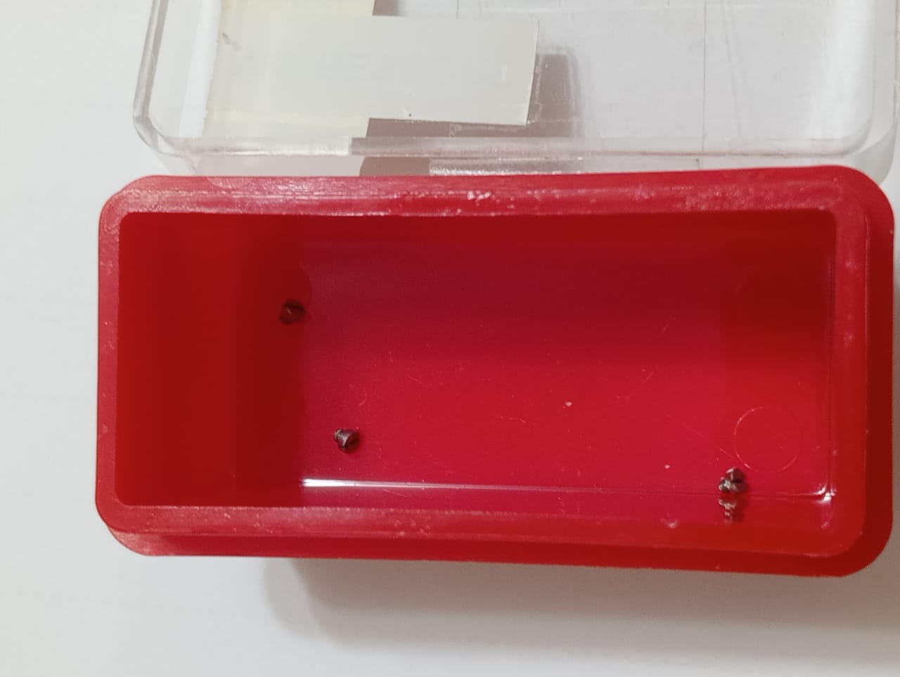 GUCCI SCREW 162.28 VIS RESSORT 2405L/PRICE FOR ONE SCREW