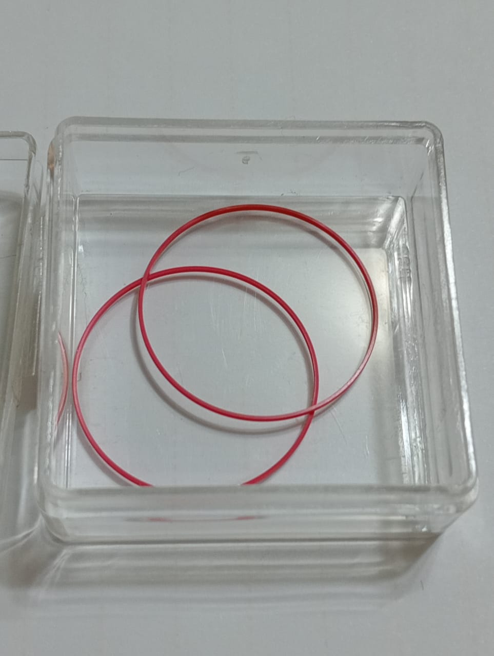 GUCCI ORIGINAL GASKET GLASS-PART.157.22 JT.LUN.8900M/PRICE FOR ONE GASKET